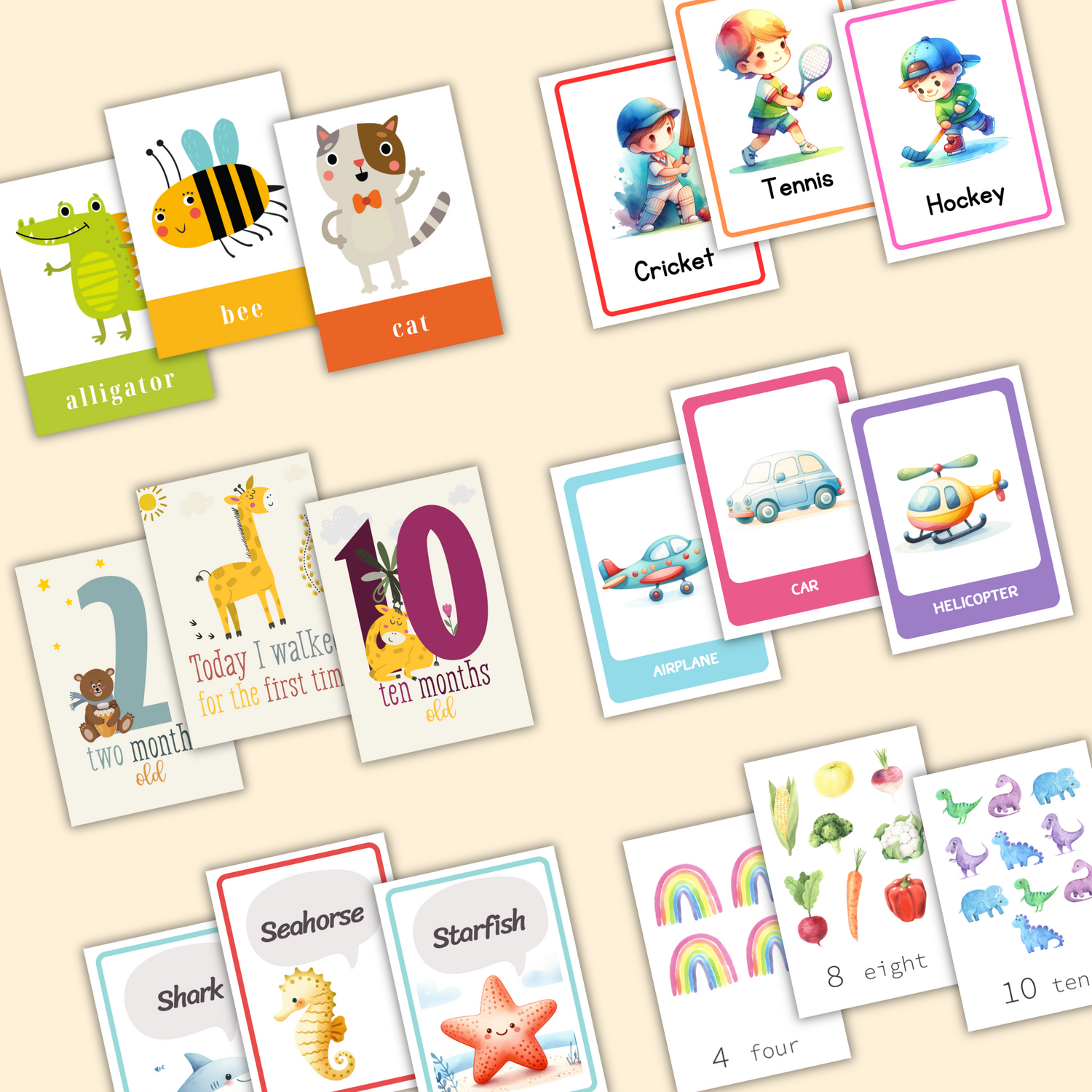Flashcards