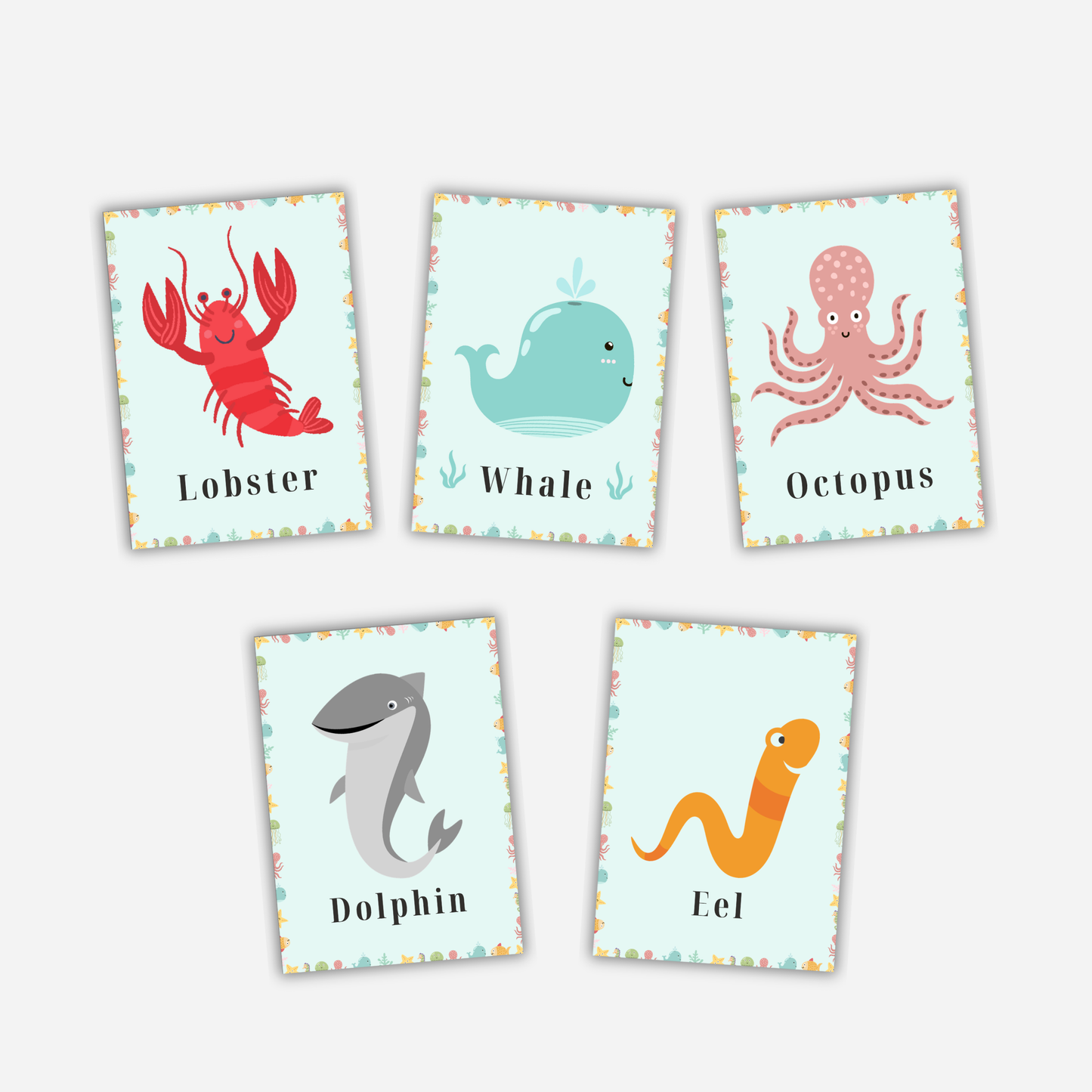 Flashcards - Ocean Wonders